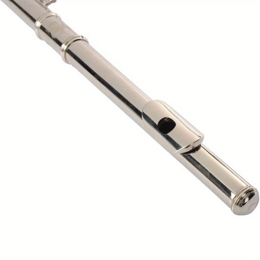 Nickel Plated C Closed Hole Concert Band Flute Silver
