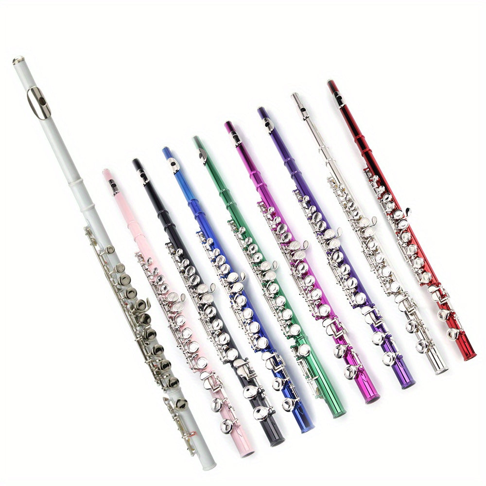 Nickel Plated C Closed Hole Concert Band Flute Silver