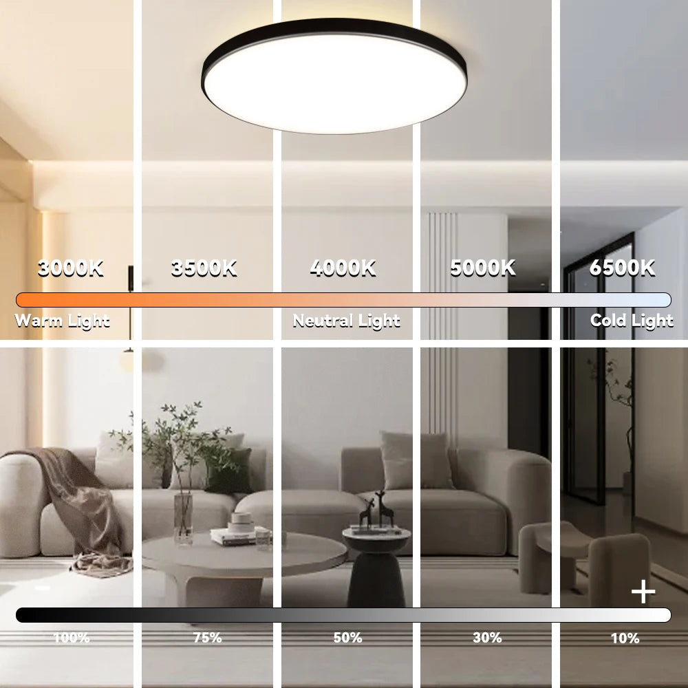 Remote Dimming LED Ceiling Light Smart Lustre RGB Tuya Lighting Bluetooth Home Interior Decoration Alexa Ceiling Panel Lamps Led
